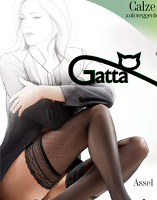 ASSEL 02 Gatta