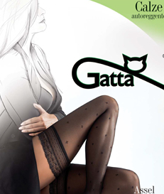 ASSEL 03 Gatta