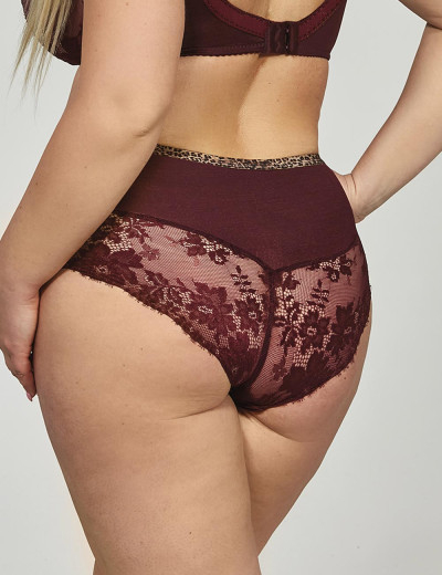 Трусы SELENA brifshigwaist kris line